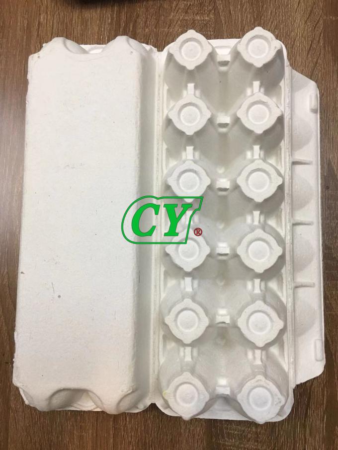 15 Cell 18 Cell Egg Carton Mold Diogradable Recycle For Holding Eggs