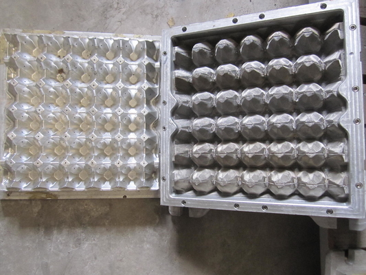 3D Paper Pulp Decorated Egg Tray Mould 30 Holes 5 Years Lifetime