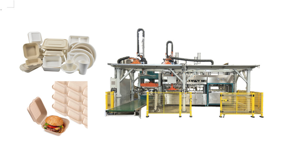 Disposable Pulp Molding Tableware Equipment