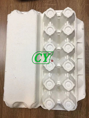 Biodegradable Moulded Paper Pulp Products Pulp Egg Tray Recycle Egg Box