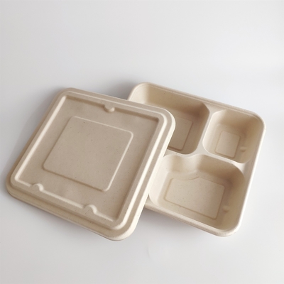 Smart Disposable Paper Pulp Molding Food Tray Producing Machine With Two Robot Arms