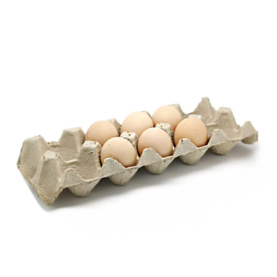 Eco Friendly Paper Molded Machine For Making Egg Carton Fruit Tray Coffee Cup Tray