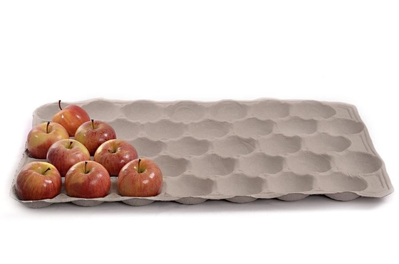 Eco Friendly Paper Molded Machine For Making Egg Carton Fruit Tray Coffee Cup Tray