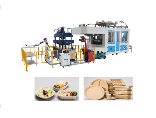Biodegradable Paper Pulp Molding Machinery Food Container Disposable 1 Year Guarantee