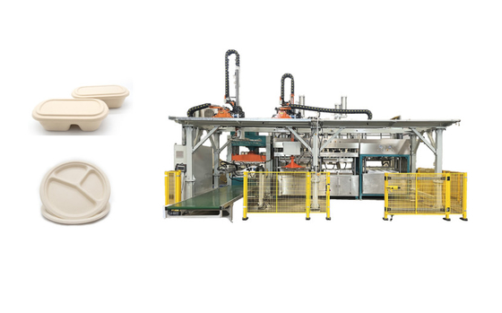 Biodegradable Lunch Tray Pulp Molded Production Machine