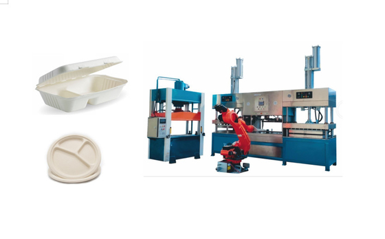 Biodegradable Pulp Molded Coffee Cup Production Line