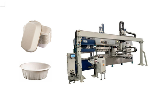 Biodegradable Pulp Molded Meat Tray Machine
