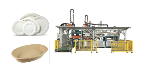 Biodegradable Pulp Molded Tableware Machine