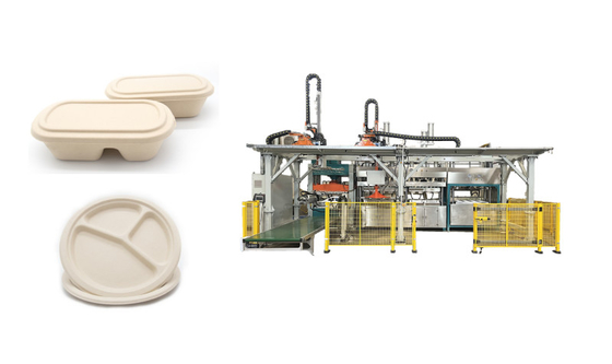 Fully Automatic Wood Pulp Food Serving Tray Production Line
