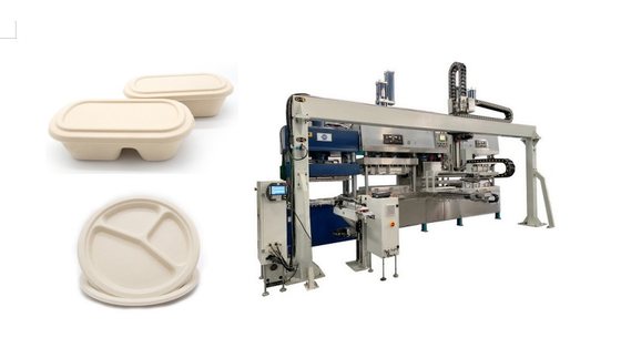 Automatic Sugarcane Bagasse Pulp Sustainable Disposable Fast Food Tray Machine