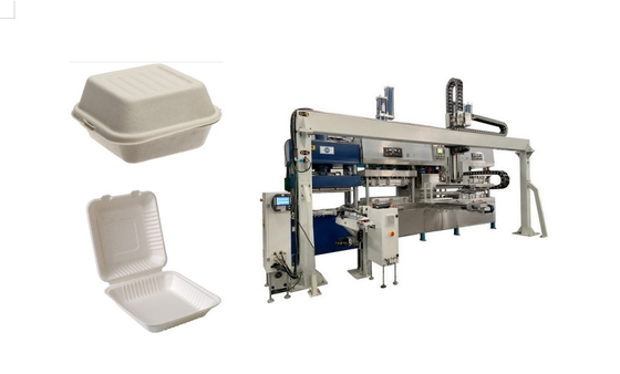 Paper Molded Pollution Free Clamshell Box Production Line With Single Walking Robot Arm
