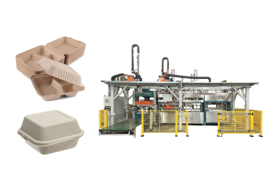 Wood Pulp Burger Container Making Machine With Trimming And Stacking Robot