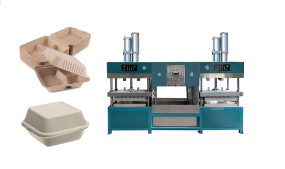 Oil Proof Pulp Molding Clamshell Lunch Box Machine To Produce Salad Box
