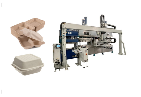 Biodegradable Takeaway Food Container Pulp Molded Equipment