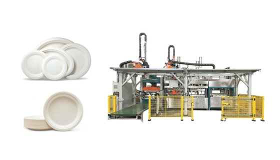 Nature To Nature Pulp Molded Smart Tableware Machine With Double Robot Arms