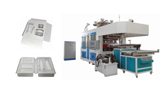 Disposable Molded Pulp Machine To Make Cosmetic Package Product