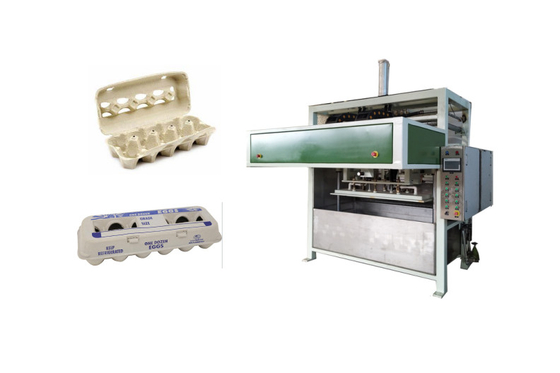Automatic Fiber Molded Waste Paper 10 Packs Egg Carton Making Machine