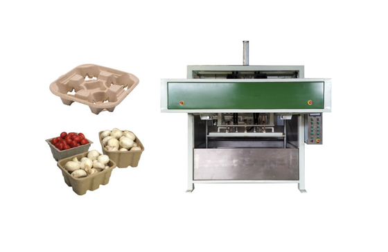 Eco Friendly Paper Molded Machine For Making Egg Carton Fruit Tray Coffee Cup Tray