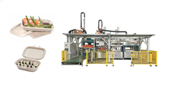Disposable Pulp Molding Food Tray Machine