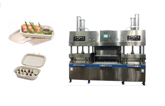 Disposable Pulp Molding Lunch Box Making Equipment