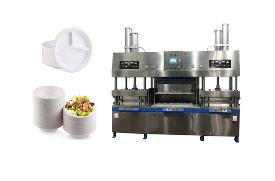 Pulp Molding Disposable Food Container Equipment
