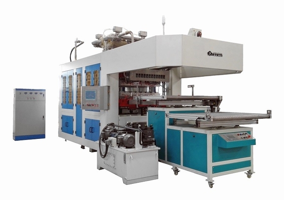 High-Performance Fully Automatic Pulp Molding Machine Production For Disposable Tableware