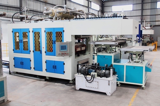 High-Performance Fully Automatic Pulp Molding Machine Production For Disposable Tableware