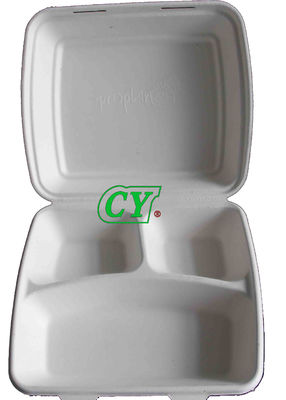 PLC Paper Pulp Molding Machinery Manual Compostable Sugarcane Tray Dry In Mold Wet Press Machine