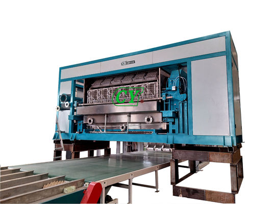 PLC Control Egg Tray Forming Machine With Multi - Drying Line