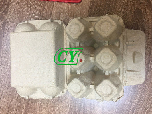 Biodegradable Recycled Paper Pulp Mold 4 Cell 6 Cell 1 Year Warranty
