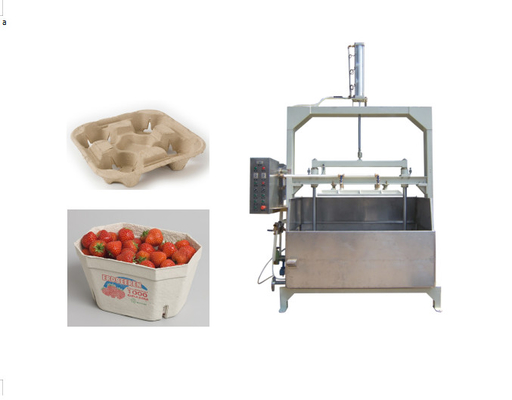 Renewable Paper Molded Machine For Making Egg Carton Fruit Tray Coffee Cup Tray