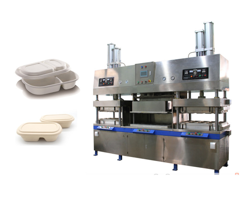 Oil Proof Pulp Molding Machine To Produce Clamshell Box