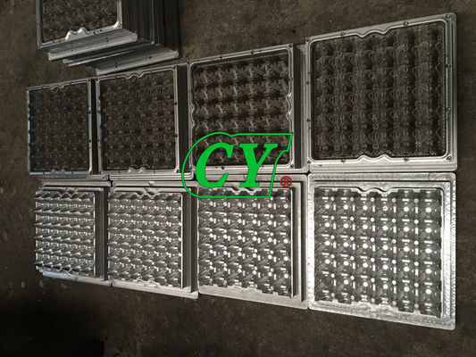 Die Casting Paper Pulp Mold 30 Cavity Paper Pulp Moulded Trays