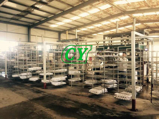 Eco Friendly Pulp Drying Machine Egg Carton Production Line