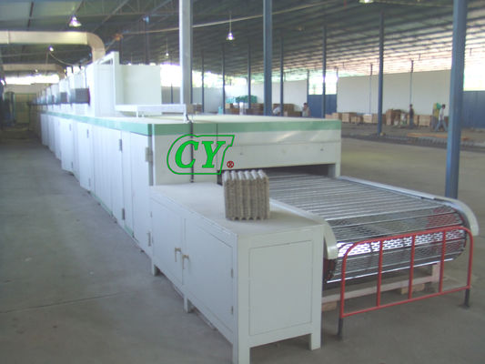 Single Layer Pulp Drying Machine Pulp Molding Production Line
